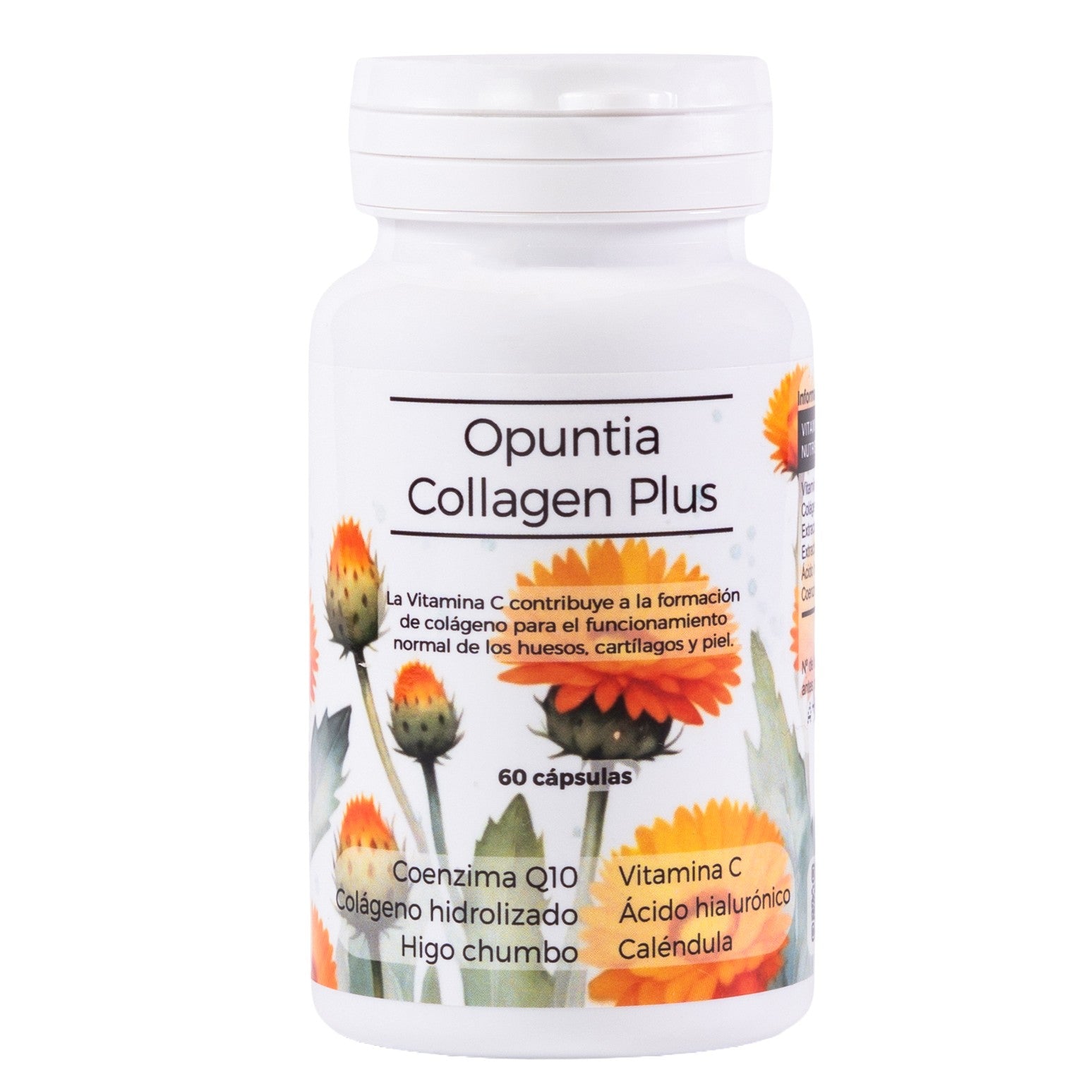 Kapynatura Opuntia Collagen Plus 60 Cápsulas